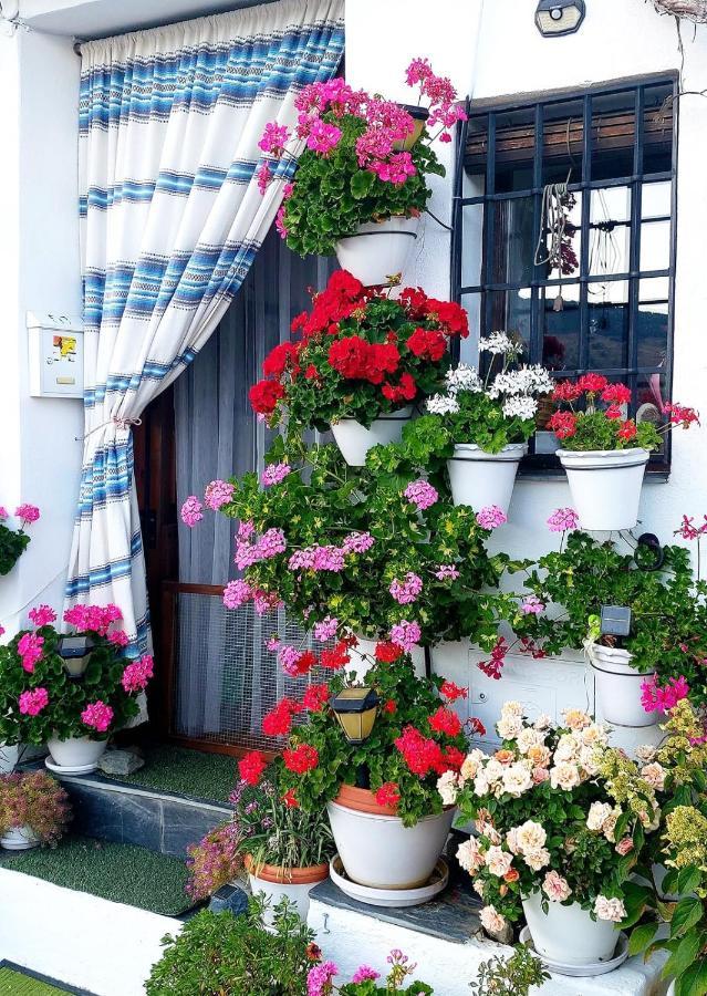 Casa Alhambra - Centro Historico Con Jardin Privado Apartment Granada Ngoại thất bức ảnh