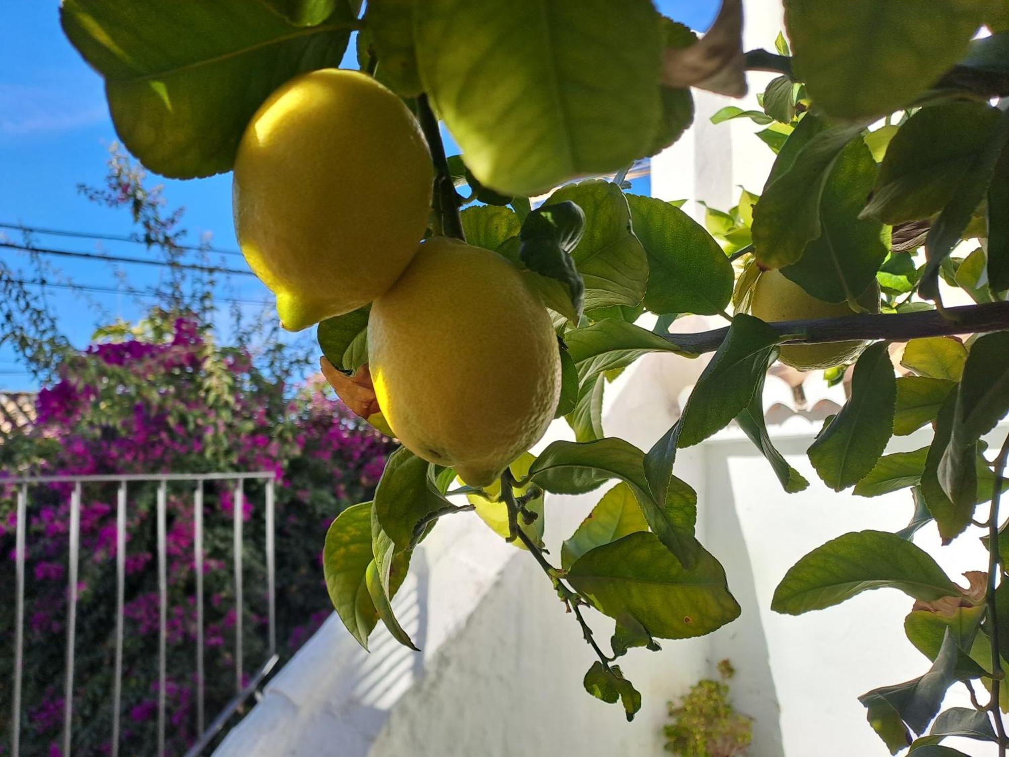 Casa Alhambra - Centro Historico Con Jardin Privado Apartment Granada Ngoại thất bức ảnh