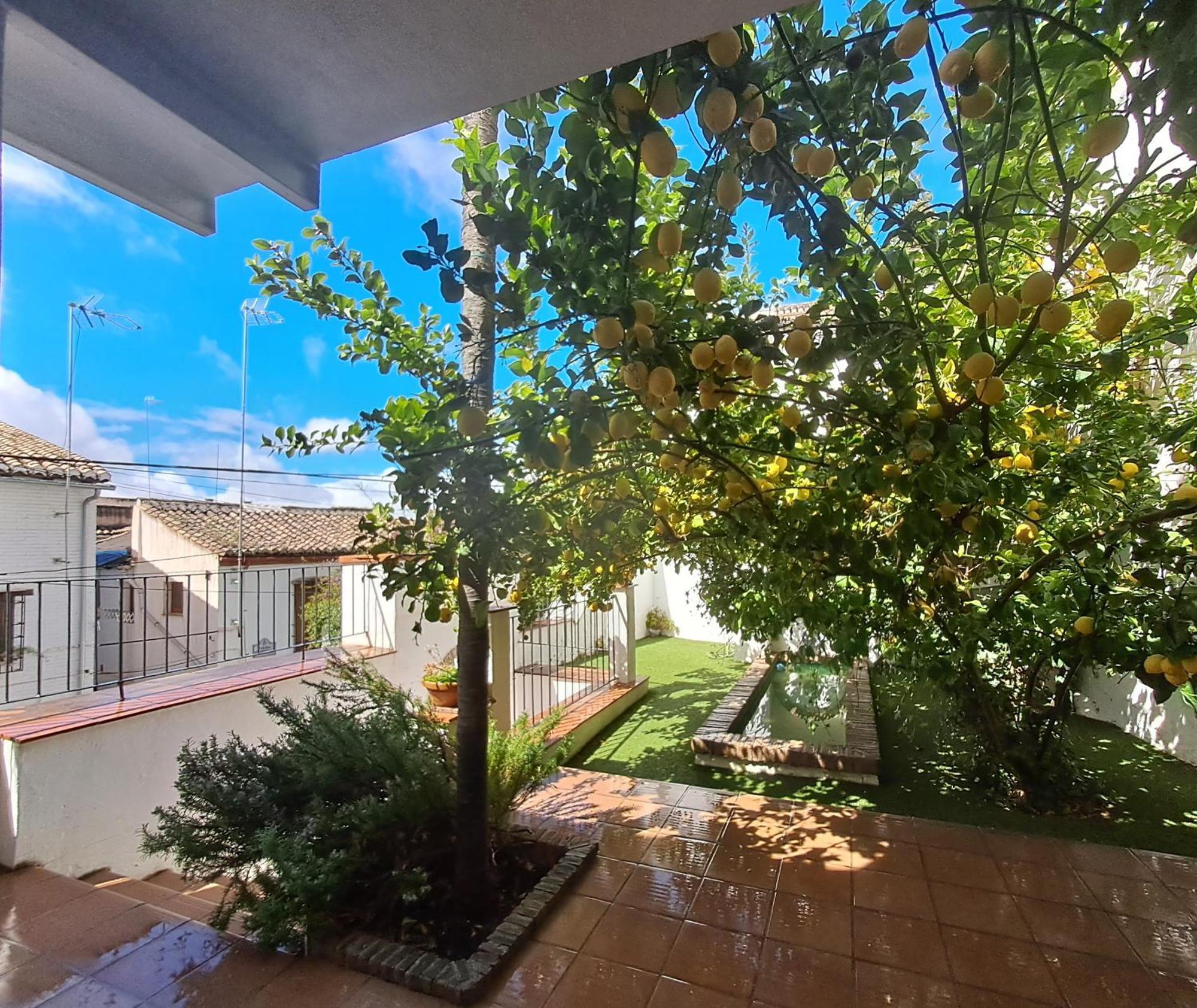 Casa Alhambra - Centro Historico Con Jardin Privado Apartment Granada Ngoại thất bức ảnh